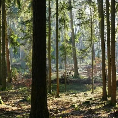 아파트 Am Meulenwald