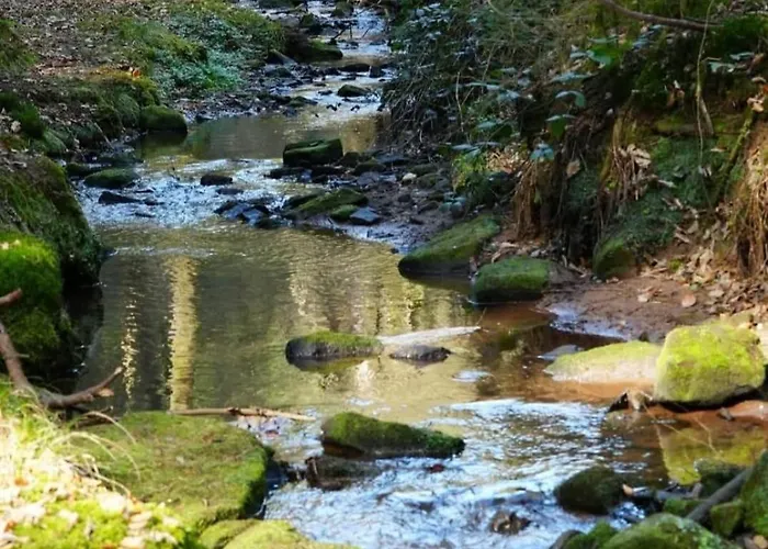 Am Meulenwald Apartamento *